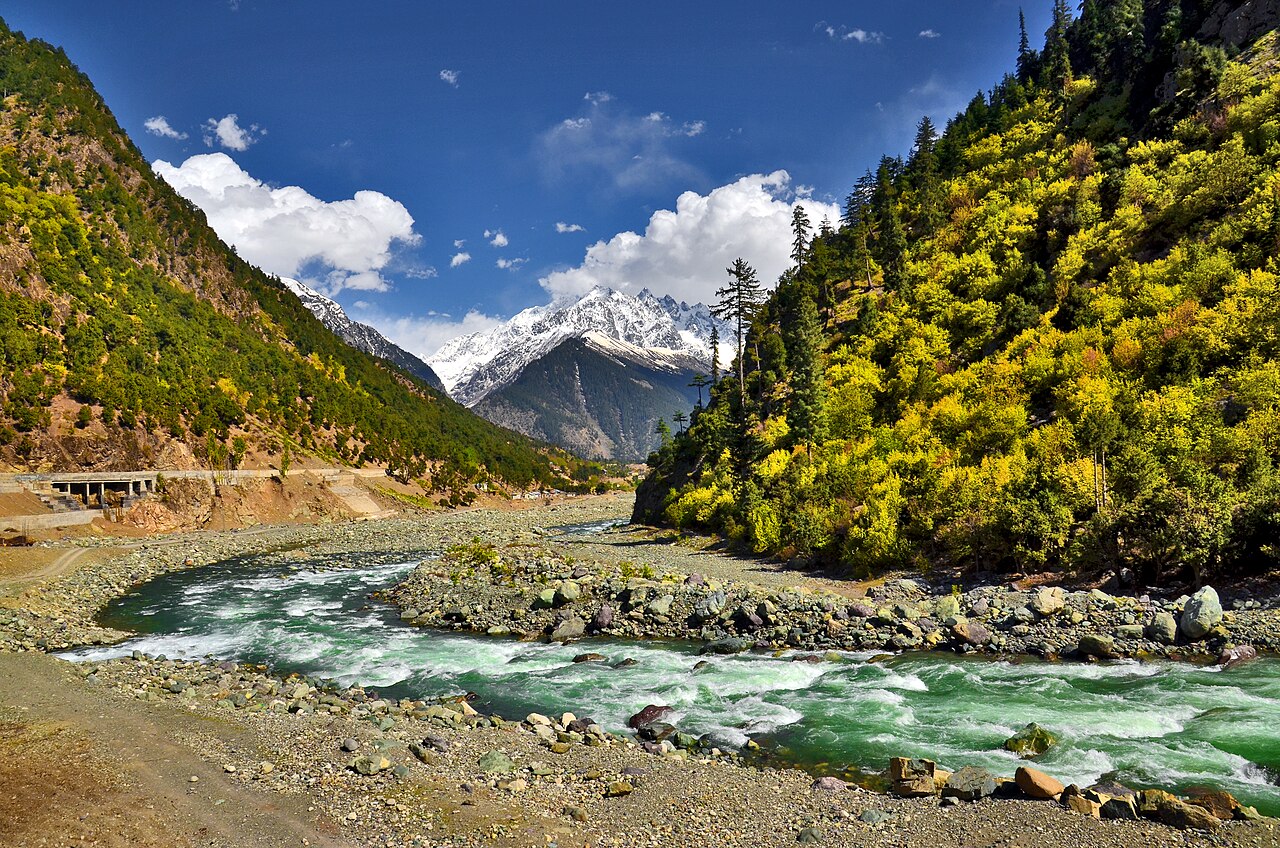 The pine forest and river at Kalam in upper Swat